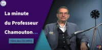 Tous des Colibris – La Minute du Professeur
